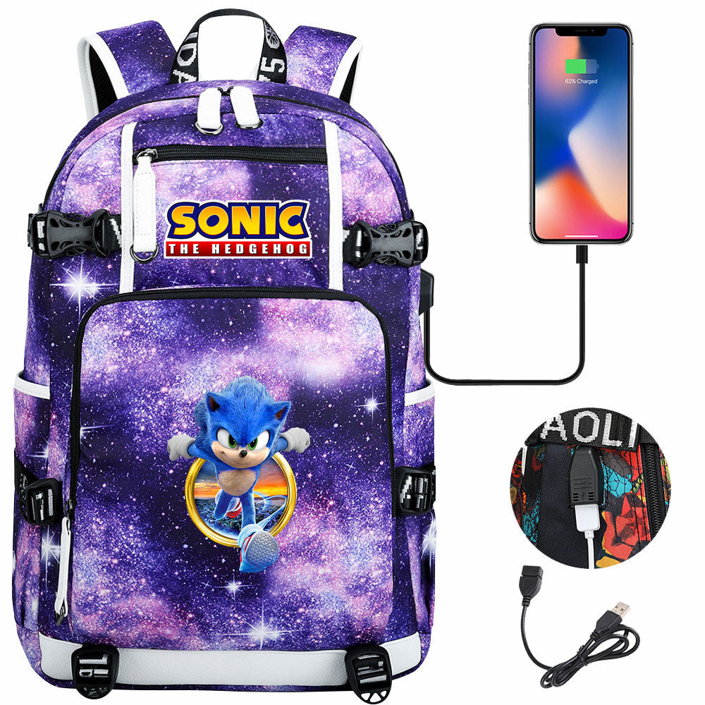 Hedgehog  #9 USB Charging Backpack School NoteBook Laptop Travel Bags